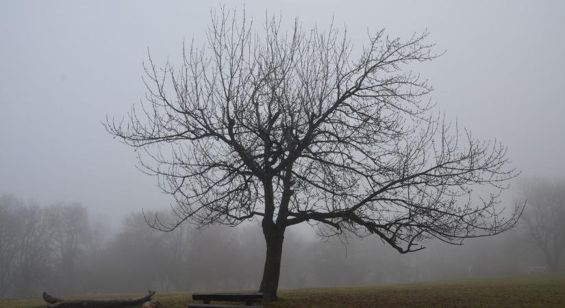 Eddig tart még a dermesztő hideg - Fordulat következik az időjárásban