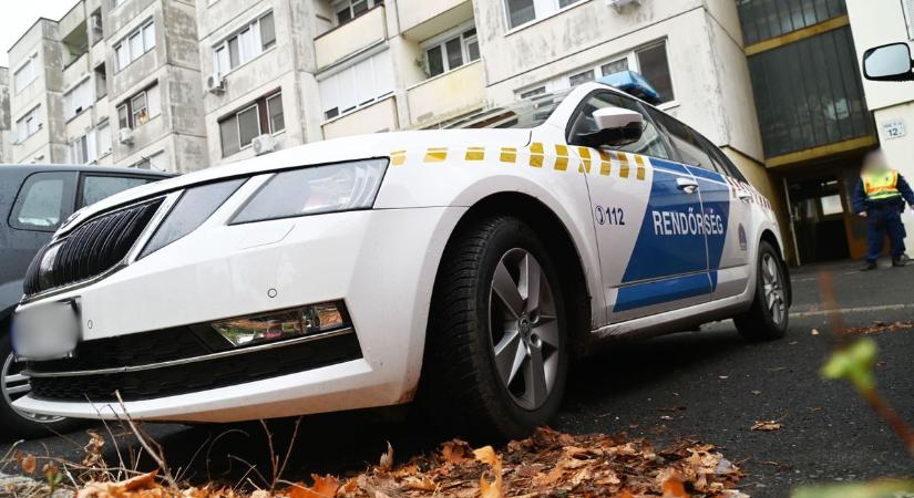 A nyomozók egy garázsnál olyan látványba futottak bele, ami ritkán kerül a hírekbe