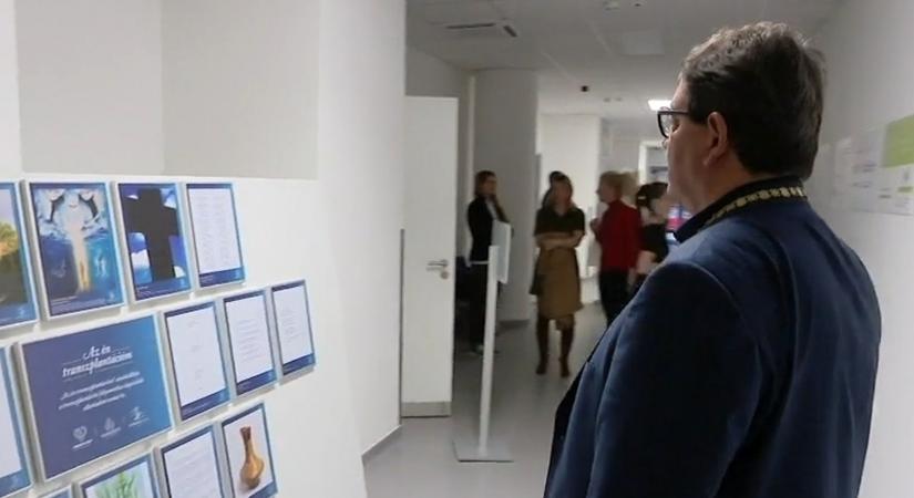 Szervtranszplantáltak alkotásaiból nyílt kiállítás a városmajori klinikán