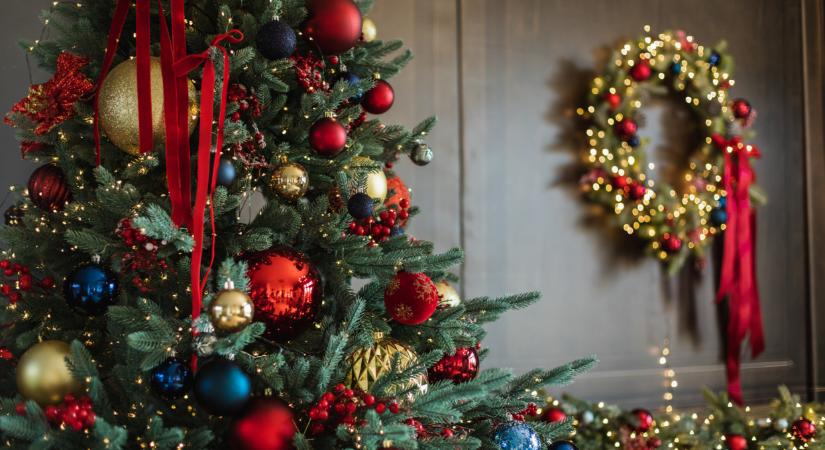 Ezt sokan elrontják: így választhatod ki karácsonyra a tökéletes fenyőfát