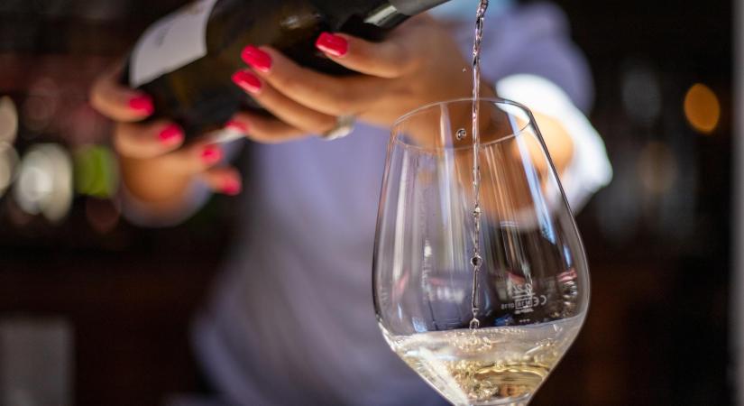 Mivel kezdjük? – Borok, stílusok kezdő fogyasztóknak, amikbe könnyen bele lehet szeretni