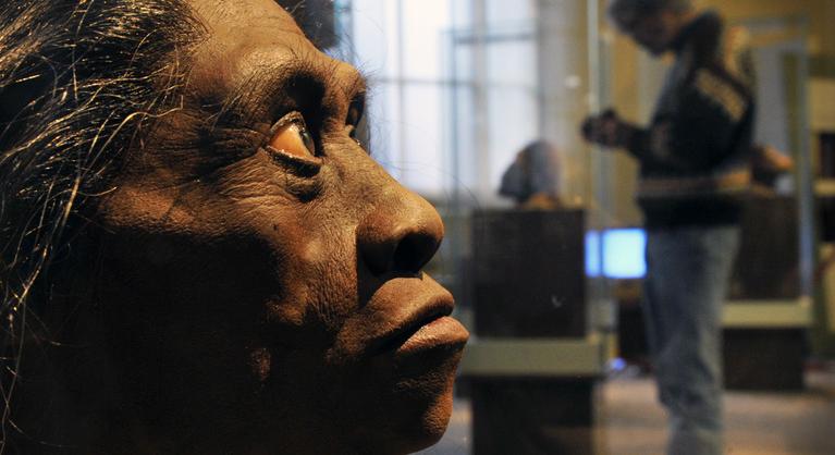 Végzetes lehetett a hobbitok és a modern emberek találkozása