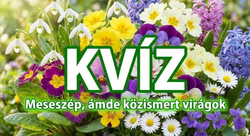 Kvíz: Felismered ezeket a meseszép, de közismert virágokat? A legtöbben elbuknak a 8. kérdésnél!
