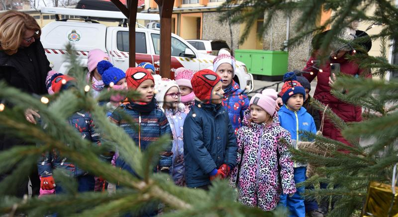 Ovisok a laktanyában