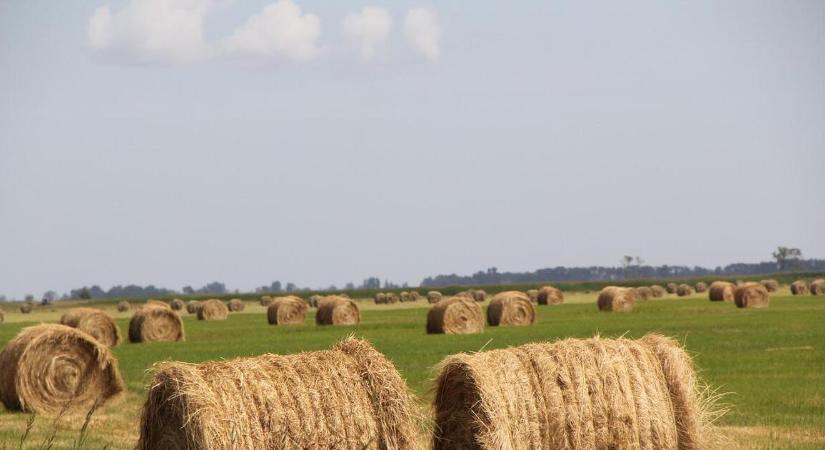 Újabb magyar földterületek kerülnek piacra