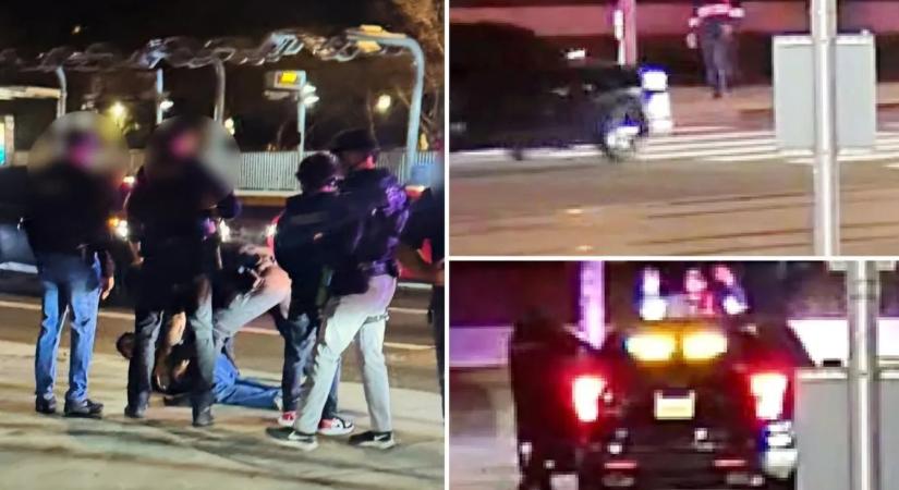 Rob Reiner fia azonnal megadta magát az őt sarokba szorító rendőröknek!