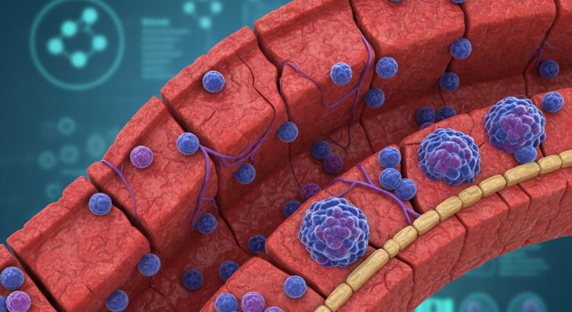 Két éven át tartó vizsgálat JAK-inhibitor fenntartó kezelés hatásossága és biztonságossága Crohn-betegségben