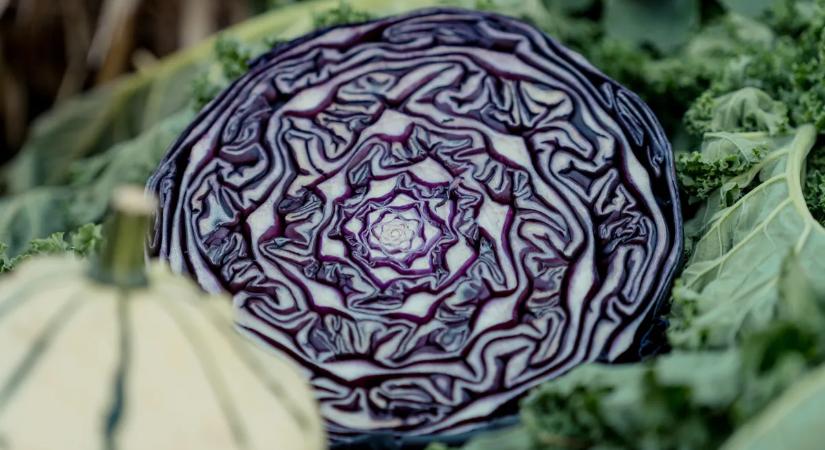 Így hozhatja ki a legtöbbet a lilakáposztából