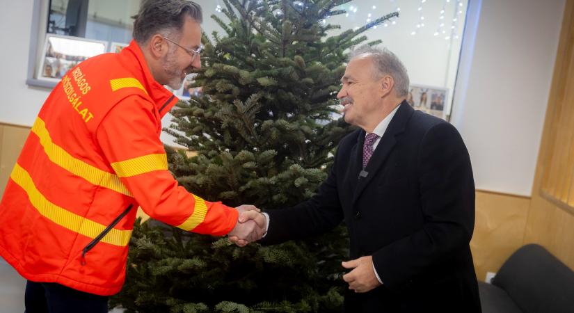 Idén is érkeznek a fenyőfák az ország összes mentőállomására