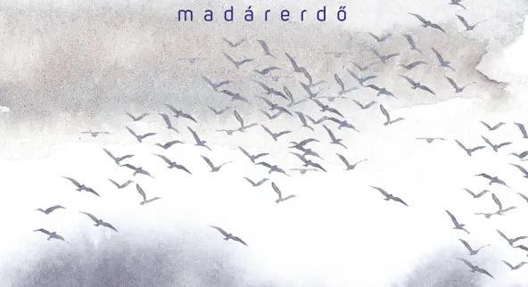 Kovács Gáborján - Császár Róbert: Madárerdő