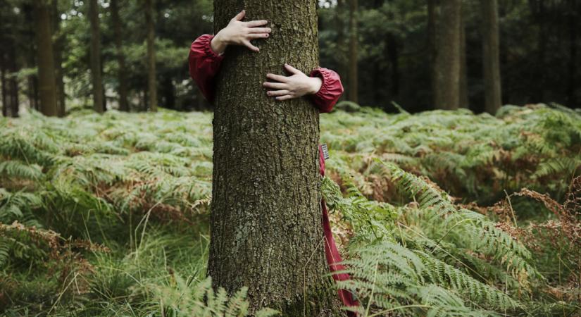 Milliónyi magyar juthat koldusbotra, ha beüt a tragédia: erre nem gondoltak 2025-ben