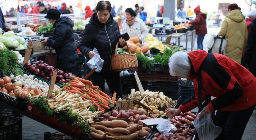 Fagyöngy, grincsfa és magyal – igazi karácsonyi hangulat volt a piacon (képgaléria)