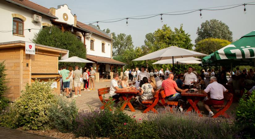 Fedezzük fel a Koch Borászat élménybirtokát Borotán – ahol a prémium bor és a családi hangulat találkozik