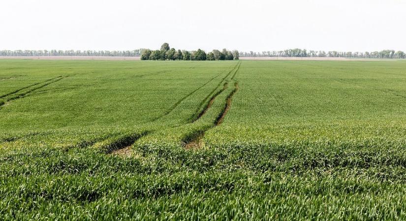 Megint nekifut a minisztérium a földárveréseknek