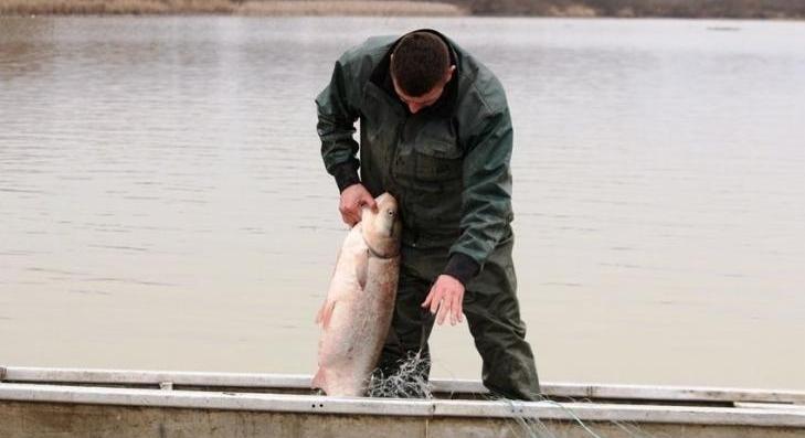 Öt tonna felett zárták a hónapot a halászok 