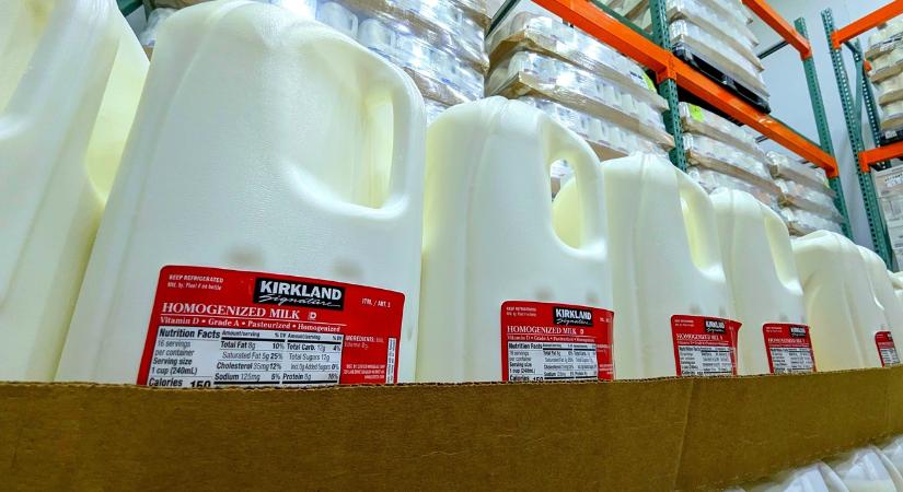 Azt hitték, a zsírmentes tej menti meg a fiatal nemzedéket