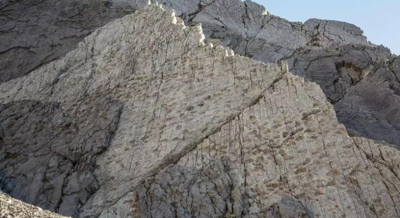 Egyedülálló felfedezés: többmillió éves lábnyomok ezreire bukkantak egy függőleges sziklafalon