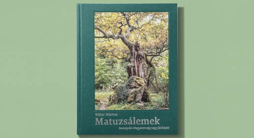 Kétszáznegyvenedszerre is legyőzni a halált