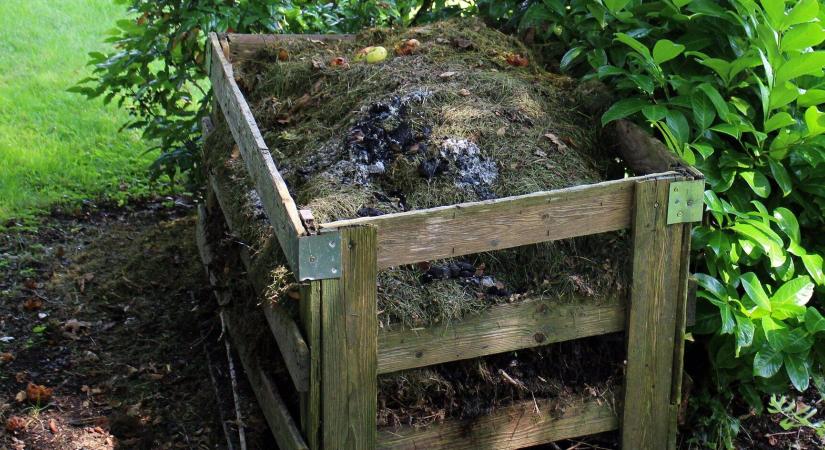 A komposztról derült ki szenzációs újdonság – eggyel több ok, hogy bajlódjunk vele