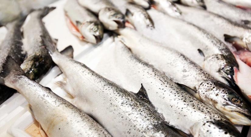 Óriási razzia zajlott le karácsony előtt – hány problémás eset akadt?