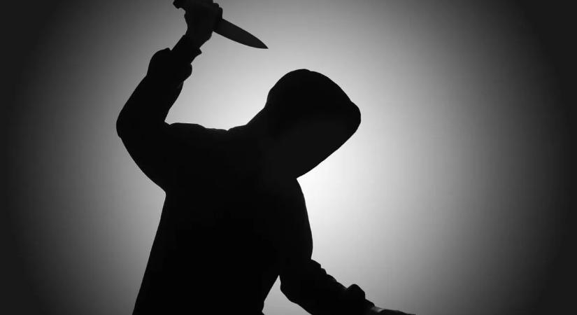 Elképesztő brutalitással ölt meg egy magyar nőt Miskolcon egy cseh hajléktalan