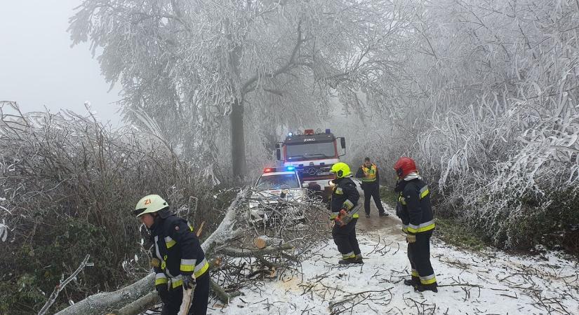Sorban dőlnek a fák utakra, autókra a Bakonyban, rengeteg riasztást kapnak a tűzoltók (képgaléria)