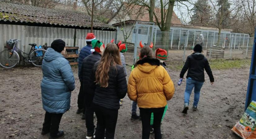 Az Állatok Adventje Bordányban: hetekig gyűjtöttek a Tappancs lakóinak