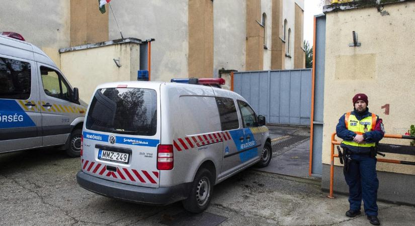 Kutyapártos képviselő: Jelentkezem én a Szőlő utca vezetésére