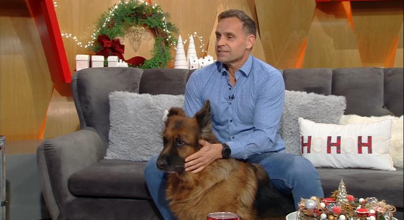 Katus Attila tanácsai a karácsonyi túlevés és mozgáshiány ellen