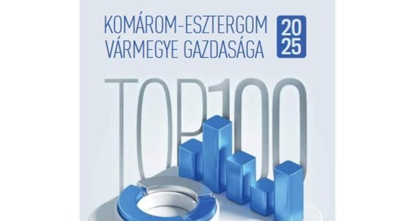 TOP 100 cég: kiemelkedő vármegyénk