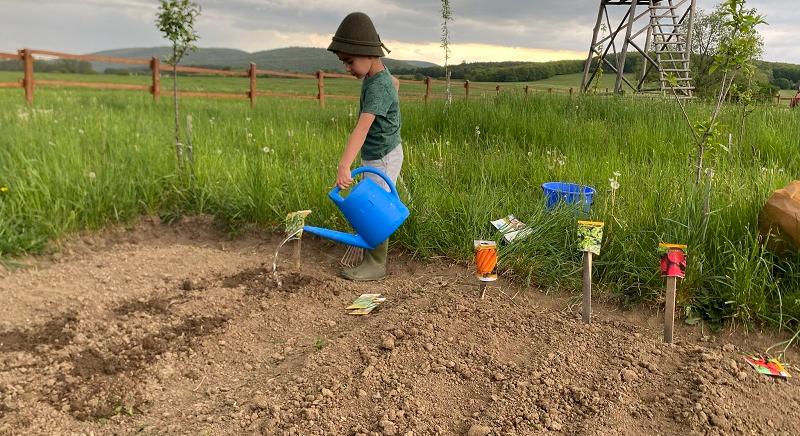 Kiskertészek Háromszéken: nem csak zöldséget, jövőt is neveltek