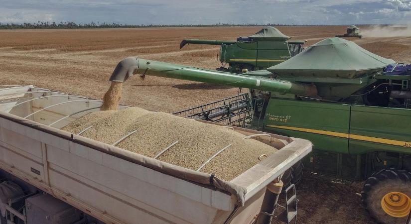 Mercosur-ügy: mindennek van határa?