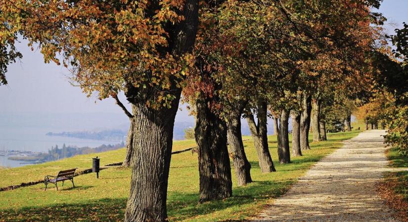 Eddig megúszta, de most úgy néz ki, hogy le fogják térkövezni a Kisfaludy sétányt a balatonakarattyai magasparton