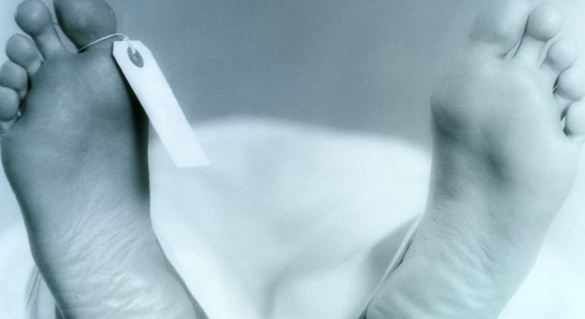 Hullarablási ügy a Harvard Egyetemen: elítélték a volt bonctermi vezetőt