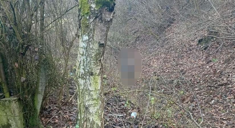 Fotó! Egzotikus állat szabadult el a hevesi településen - annyira veszélyes, hogy a rendőrség is tehetetlen