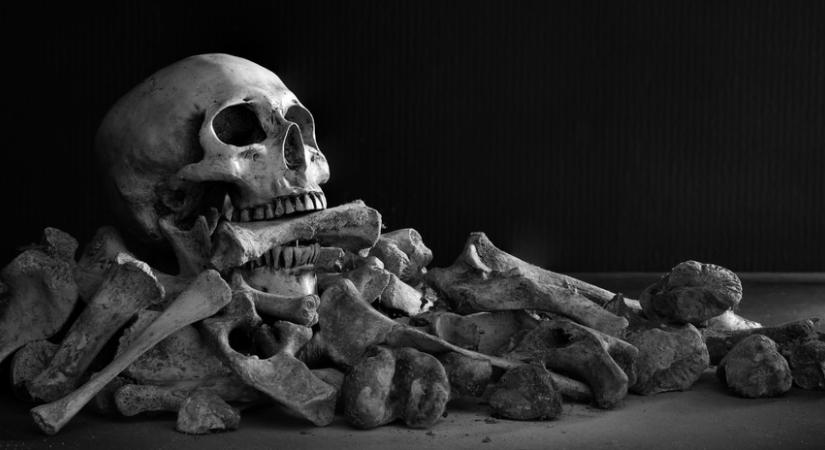 Hátborzongató felfedezés a családi pincében: csontok a padló alatt