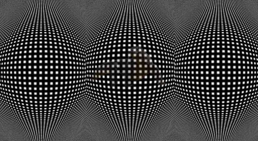 Optikai illúzió: kivételesen magas az IQ-ja, ha megtalálja a képen az elrejtett állatot