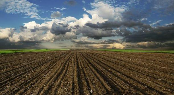 A magyaroktól elszedik a földjeiket