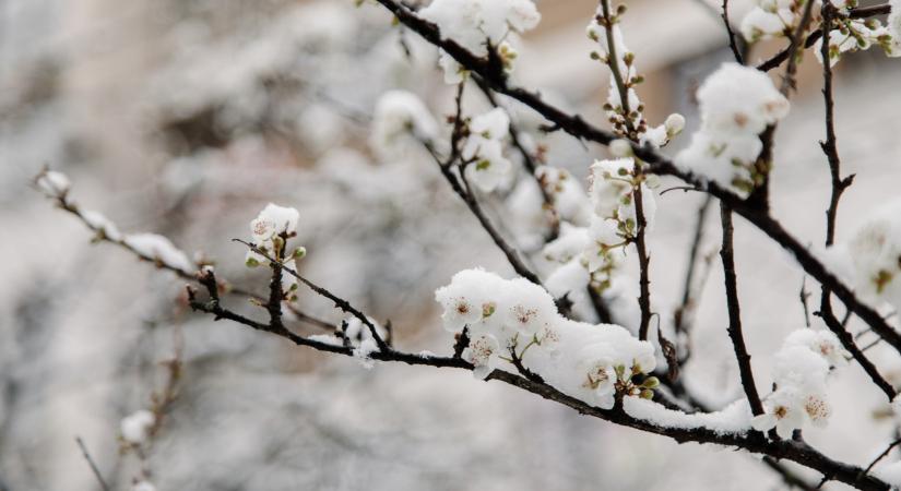 Sok gazda kaphat ilyen segítséget: mutatjuk, kiknek járhat a pénzből