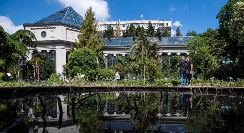 A botanikus kertek felértékelődnek a klímaváltozás során az urbanizált környezetben