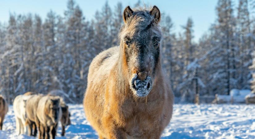 Percek alatt meghalhatunk ebben a városban, mégis sok család él ott