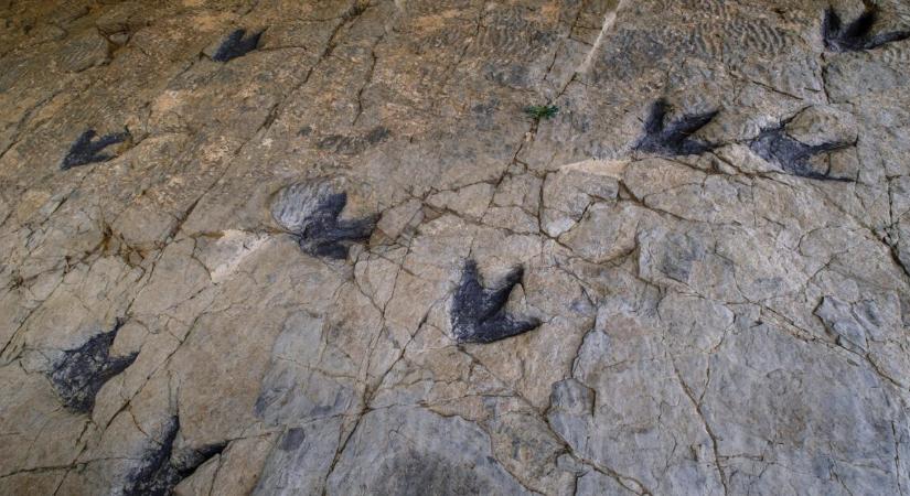 Hatalmas felfedezés – több ezer dinoszaurusz-lábnyom került elő az olasz Alpokban