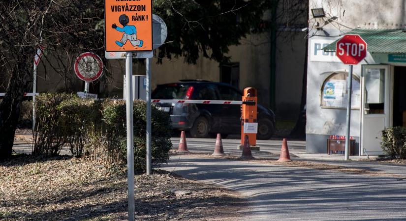 Magyar Péter állítja, videója van arról, ahogyan egy katonai végzettségű nevelő egy gyereket fojtogat a Fóti Gyermekotthonban