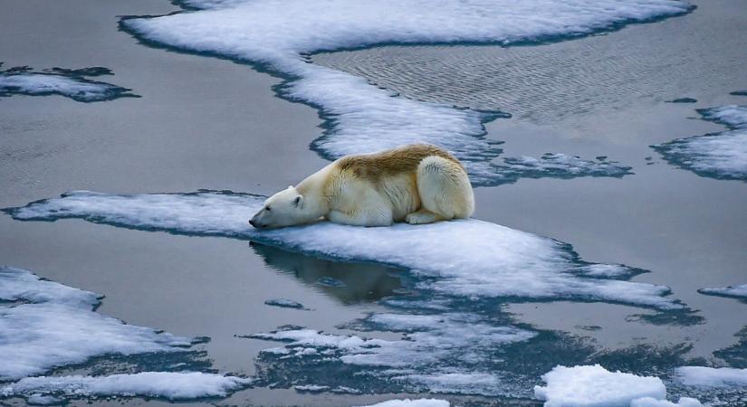 Tiltott fizetőeszköz, engedélyezett befektetés: így hódítja meg a kriptovaluta Oroszországot