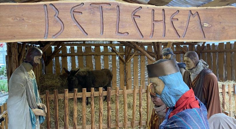 Csacsi a város közepén? Itt láthatod a kedves kis állatokat (galéria, videó)