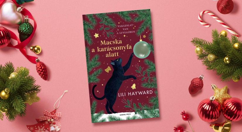 LILI HAYWARD: Macska a karácsonyfa alatt