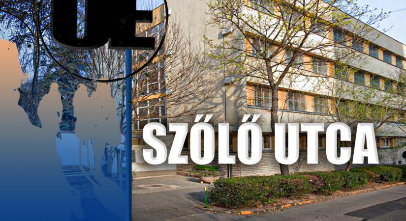 Sokkal kevesebbért is vállalni kéne a felelősséget – az utca embere a gyermekvédelmi botrányról