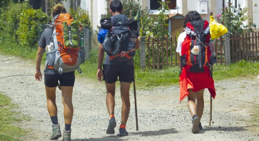 Új kiegészítőjük lett az ausztrál fesztiválozóknak: a sétabot