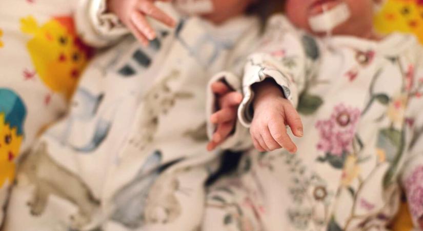 Pehelysúlyú harcosok – egy koraszülött ikerpár és az anyjuk gyógyulásának története