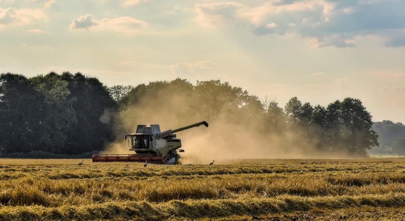 A mezőgazdasági kibocsátás értéke várhatóan mintegy 6 százalékkal emelkedik 2025-ben